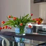 Azalea A3 Appartement Podstrana